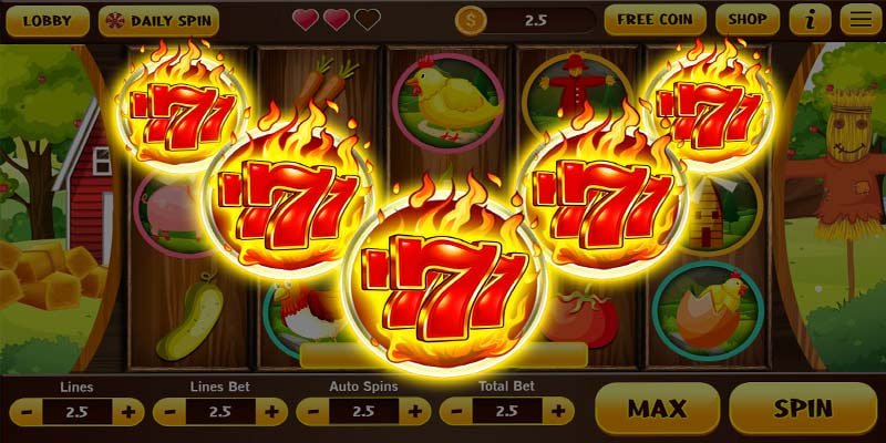 5542 com bet